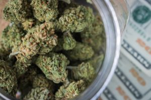 cannabis flower prices