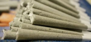 pre roll weed cones