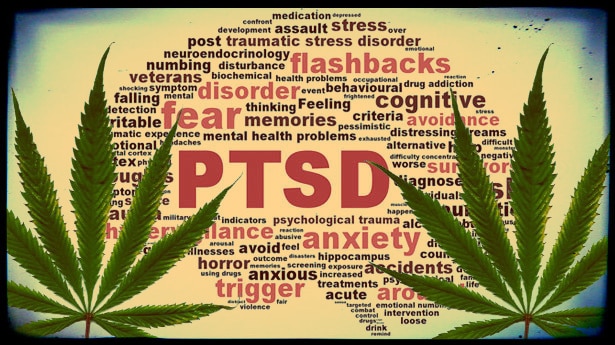 vet affairs weed