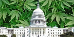 federal weed law