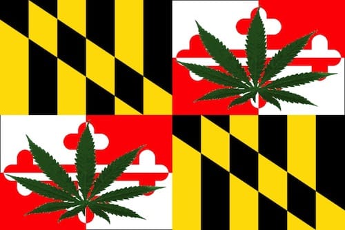 maryland marijuana