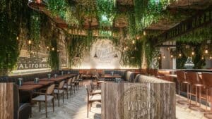 california cannabis cafe