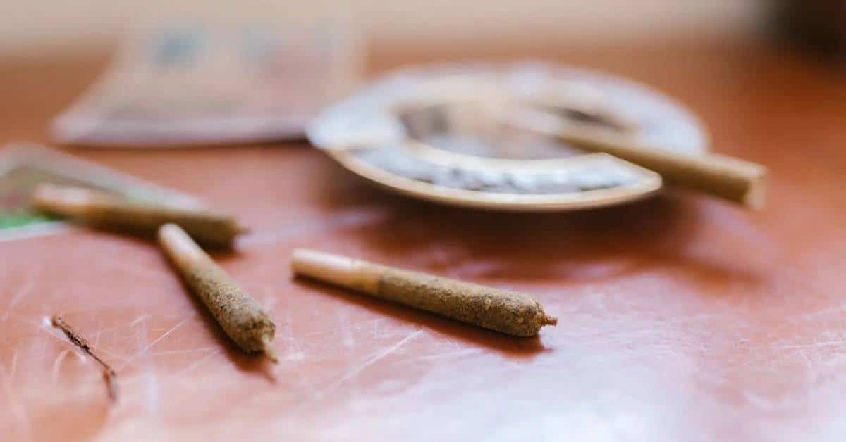 The Rise of Pre Rolls: Why They're Dominating the Cannabis Market in 2025