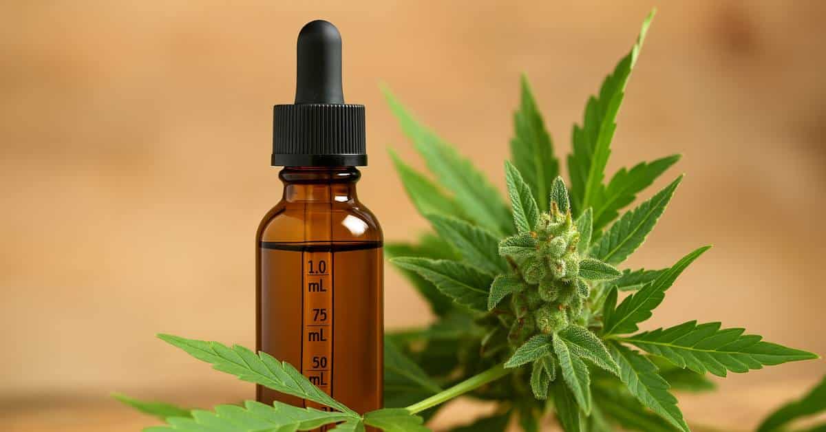 CBD product packaging next to cannabis plant