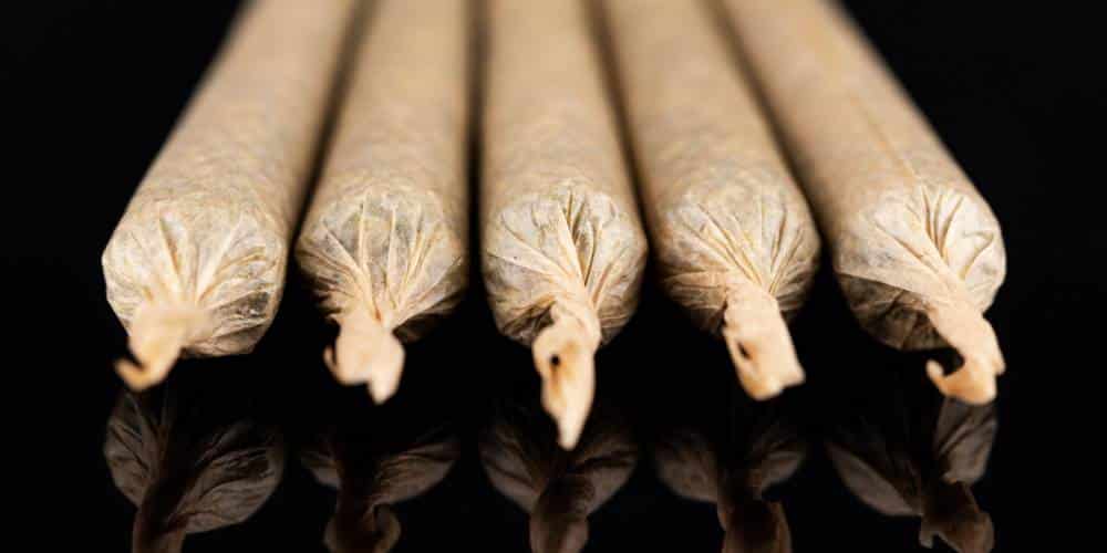The Pre Roll Joints Boom: Choosing Packaging for Cannabis' Fastest-Growing Category