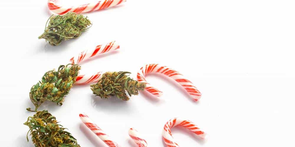 420 Packaging: Cannabis Christmas