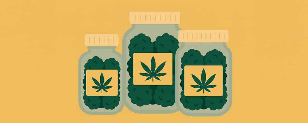 Cannabis Storage: Hacks to Make Your Jars Last Longer