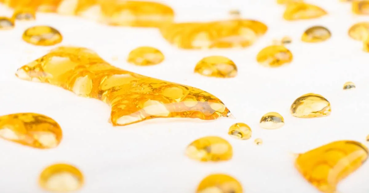 Cannabis concentrate on silicone parchment paper