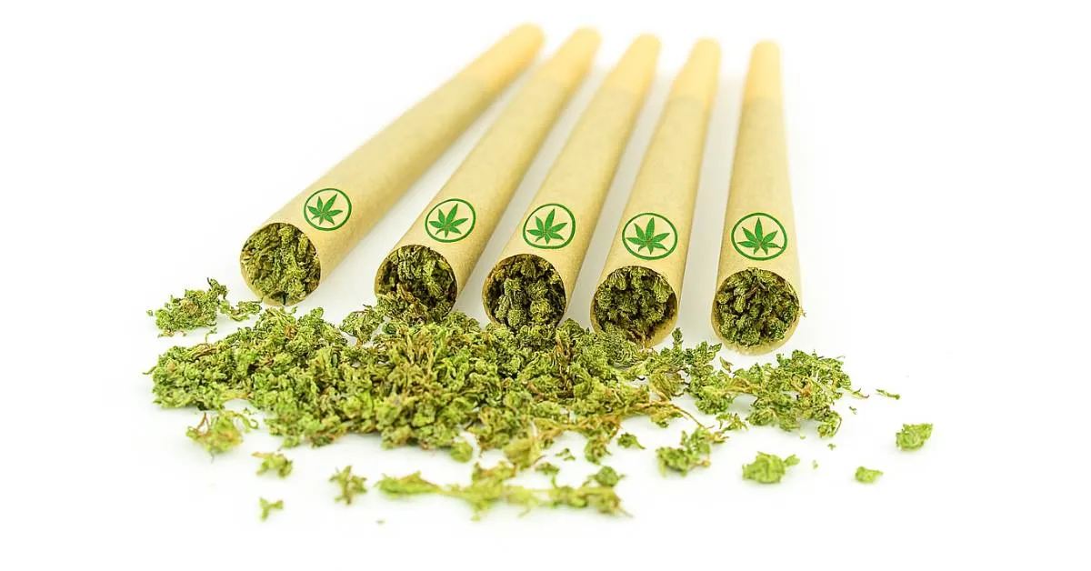 Five Custom-Branded Pre Rolled Cones