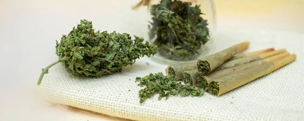 Cannabis Pre-Rolled Cones